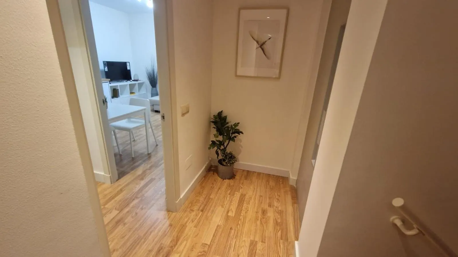 Apartamento Limonar Deluxe Malaga Spain